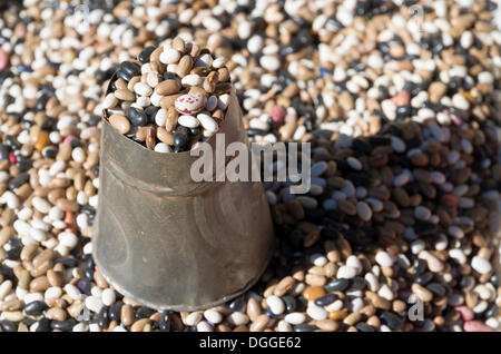 Verschiedene Arten von Dhal, zum Verkauf, Bagmati Zone, Nepal, Kathmandu, Kathmandu Bezirk Stockfoto