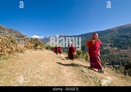 Mönche und Nonnen tragen rote Tücher zu Fuß auf einem schmalen Pfad entlang einem Berg Hang, Junbesi, Solukhumbu Bezirk Stockfoto