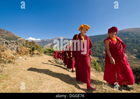 Mönche und Nonnen tragen rote Tücher zu Fuß auf einem schmalen Pfad entlang einem Berg Hang, Junbesi, Solukhumbu Bezirk Stockfoto