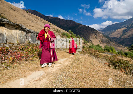 Mönche und Nonnen tragen rote Tücher zu Fuß auf einem schmalen Pfad entlang einem Berg Hang, Junbesi, Solukhumbu Bezirk Stockfoto