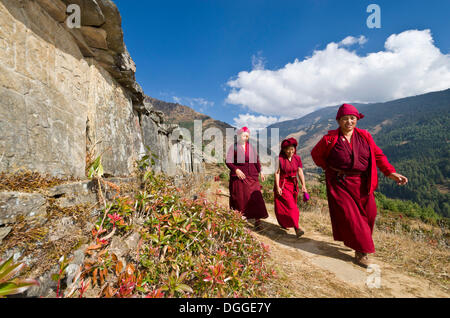 Mönche und Nonnen tragen rote Tücher zu Fuß auf einem schmalen Pfad entlang einem Berg Hang, Junbesi, Solukhumbu Bezirk Stockfoto