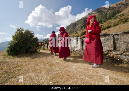 Mönche und Nonnen tragen rote Tücher zu Fuß auf einem schmalen Pfad entlang einem Berg Hang, Junbesi, Solukhumbu Bezirk Stockfoto