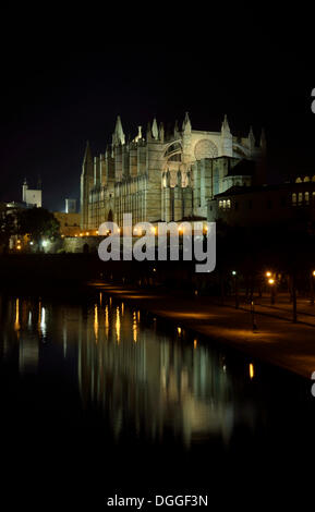Beleuchtete gotische Kathedrale von Palma oder "La Seu" in der Nacht, Palma De Mallorca, Mallorca, Balearen, Spanien Stockfoto