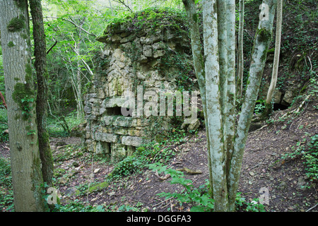 Seiteneingang, Fort Souville Stockfoto