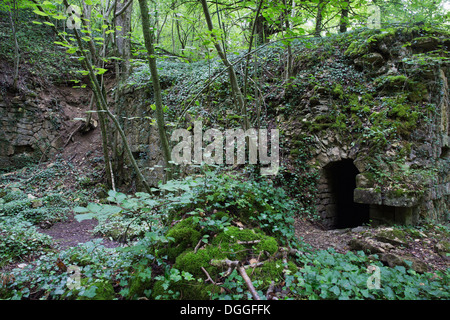 Fort Souville nun mitten im Wald Stockfoto