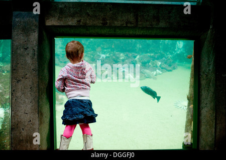 Junges Mädchen Blick auf Fische im aquarium Stockfoto