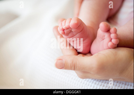 Mitte Erwachsene Frau mit Babymädchen Füße Nahaufnahme Stockfoto