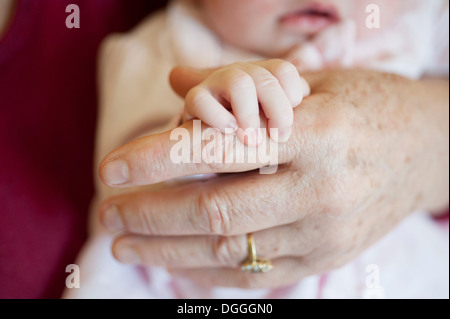 Baby Mädchen Holding senior Woman Hand, Nahaufnahme Stockfoto