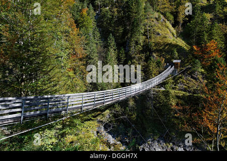 Hängebrücke über den Fluss Salza Wasserlochklamm Schlucht, Palfau, Liezen, Obersteiermark, Steiermark, Austria, Europe Stockfoto