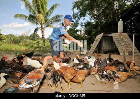 Alten Bauern füttern die Hühner vor seiner Hütte, Landlosen Camp Acampamento 12 de Otubro, brasilianischen landlosen Arbeiter Stockfoto