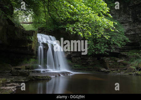 West-Burton Wasserfall Stockfoto