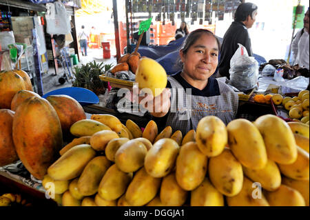 Markt Frau verkaufen Obst, gelben Mangos, Puebla, Mexiko, Mittelamerika Stockfoto