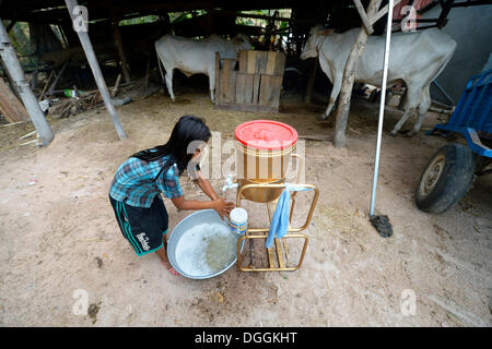 Hygiene-Erziehung durch die Nächstenliebe, Mädchen waschen sie Hände, Trapang Dorf, versaut, originellen Provinz, Kambodscha Stockfoto