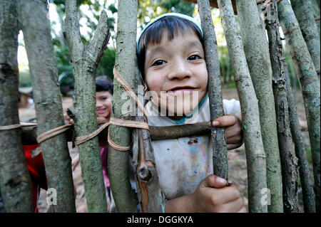 Freche junge, 6, Blick durch eine Lücke in einem Zaun in der Gemeinschaft der Mbya-Guarani-Indianer, Campito, Caaguazu Abteilung Stockfoto