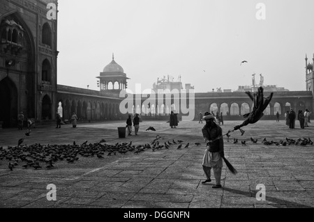 Mann Totschweigen Weg Tauben in Jama Masjid in Delhi. Stockfoto