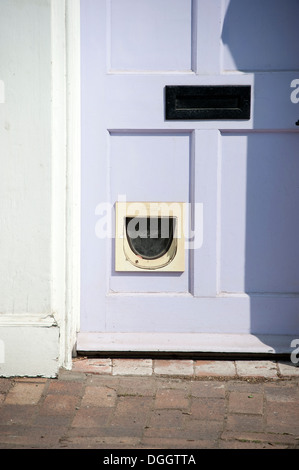 Katzenklappe in lila lila Haus-Eingangstür Stockfoto