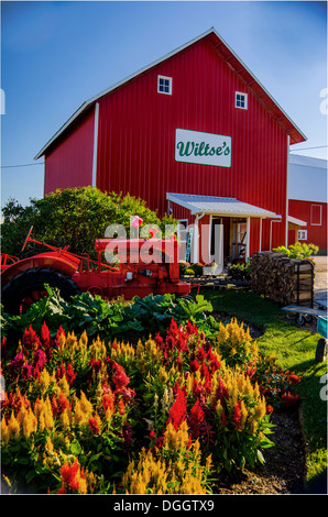 Wiltse der Farm stehen in der Nähe von DeKalb, Illinois, einer Stadt auf dem Lincoln Highway Funktionen Bauernhof frisch produzieren. Stockfoto