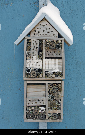 Schnee bedeckt "Insektenhotel" gebaut, um die Solitärbienen, Feste im Garten, Schuppen Bacton, Suffolk, England, März gewinnen Stockfoto