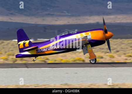 Unbegrenzte Air Racer "Rare Bear" auf Rolle. Stockfoto