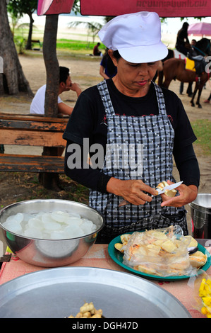 Früchte von Thailand - Suger Palm (Meer-Kokos) Stockfoto