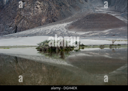 Dünen und See im Nubra Valley. Landschaft des Himalaya-Gebirges. Indien, Ladakh, Höhe 3100 m Stockfoto