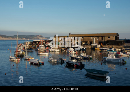 Jurassic Coast. Angeln, Boote und kleine Sportboote vor Anker im Hafen von Lyme Regis, durch die berühmten Cobb Wellenbrecher geschützt. Dorset, England. VEREINIGTES KÖNIGREICH. Stockfoto