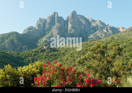 Calanques de Piana aus Porto, Korsika, Frankreich Stockfoto