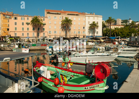 Port de Peche Marina, Ajaccio, Korsika, Frankreich Stockfoto