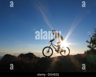 Modjeska Peak, Kalifornien, USA. 20. Oktober 2013. Mountainbiker BRIAN EPHRAIM klettert Modjeska Peak für Sunrise nach einer 5.000 ft hellen Mondnacht in Southern California Santa Ana Mountains. Mountainbiken ist der Sport der auf Fahrrädern abseits der Straße, oft über unebenes Gelände, mit speziell entwickelten Mountainbikes. Mountain-Bikes teilen Ähnlichkeiten mit anderen Bikes, sondern enthalten Funktionen, die Haltbarkeit und Leistung im Gelände zu verbessern. Diese einzelnen Sportart erfordert Ausdauer, Stärke und Balance, Fahrrad Umgang mit Fähigkeiten und Selbstvertrauen. Fortgeschrittene Radfahrer pur Stockfoto