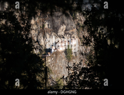 Taktsang Palphug Kloster (Tiger Nest) eingerahmt von Wald Laub Stockfoto