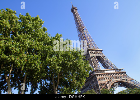 Paris Frankreich,7. Arrondissement,Quai Branly,Eiffelturm,Frankreich130819165 Stockfoto