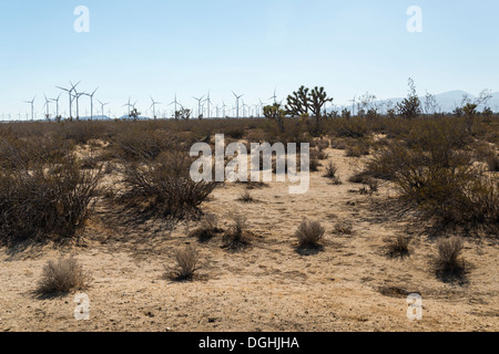 Windmühlen und Joshua Bäume in der Wüste in der Nähe von Mojave, Kalifornien. Stockfoto