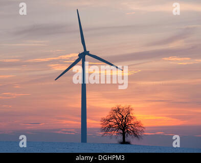 Einsame Linde (Tilia SP.) mit einer Windkraftanlage bei Sonnenuntergang im Winter, Thüringen, Deutschland Stockfoto