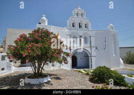 Oleander Baum wächst vor der St. Marys Kirche aus dem Jahre 1660 mit einem zweigeschossigen Glockenturm, Pírgos, Pyrgos, Santorin Stockfoto