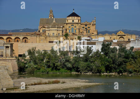 Moschee, Moschee-Kathedrale von Córdoba, die Kathedrale von der Konzeption der Muttergottes, Córdoba, Córdoba Provinz, Andalusien, Spanien Stockfoto