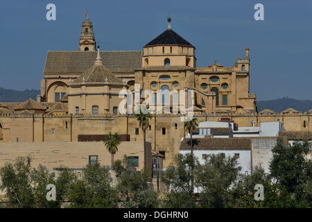 Moschee, Moschee-Kathedrale von Córdoba, die Kathedrale von der Konzeption der Muttergottes, Córdoba, Córdoba Provinz, Andalusien, Spanien Stockfoto