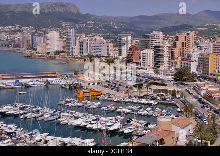 Hafen von Calp aus dem Felsen Peñón de Ifach oder Penyal d'Ifac, Costa Blanca, Calp, Costa Blanca, Provinz Alicante, Spanien Stockfoto