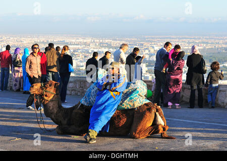 Kamel-Treiber wartet auf Touristen auf die alte Festung von Agadir, Marokko, Afrika Stockfoto