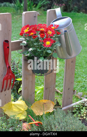 Blumentöpfe und Gartenzubehör von einem Zaun hängen Stockfoto