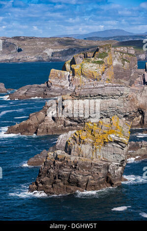 Steile Klippen, Mizen Head, südwestlichsten Punkt von Irland, County Cork, Republik Irland, Europa Stockfoto