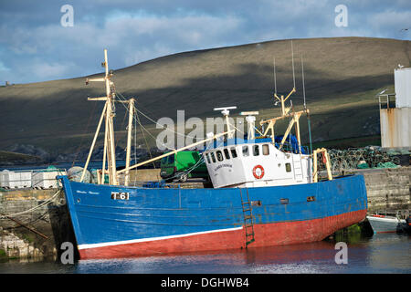 Angelboot/Fischerboot im Hafen von Portmagee, County Kerry, Irland, Europa Stockfoto