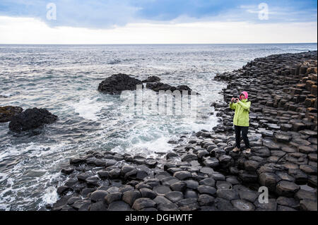 Junge Frau, die die Bilder von Basalt Felsen, Giant Causeway, Coleraine, Nordirland, Vereinigtes Königreich, Europa Stockfoto