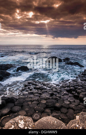 Basalt Felsen an der Atlantikküste, Giant es Causeway, Coleraine, Nordirland, Vereinigtes Königreich, Europa Stockfoto