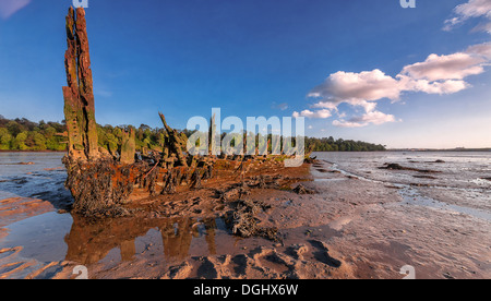 Ein Blick vom Ufer Flusses mit einem schlammigen Schiffbruch. Stockfoto