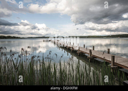 Steg mit Schilf am See Woerthsee, Schlagenhofen, Inning, Bayern, Deutschland Stockfoto