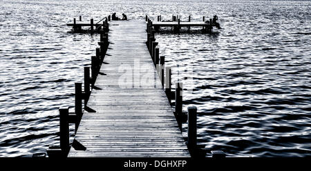 Steg am See Woerthsee, Schlagenhofen, Inning, Bayern, Deutschland Stockfoto