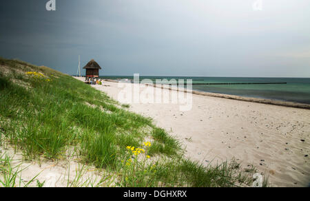 Ostseestrand, Wustrow, Mecklenburg-Western Pomerania, Deutschland Stockfoto