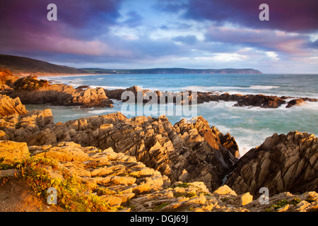 Abendlicht fällt auf den Felsen von Barricane Strand in Woolacombe Baggy Punkt blickt. Stockfoto