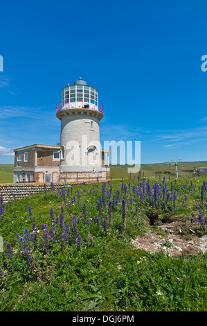 Die Belle Tout Leuchtturm. Stockfoto