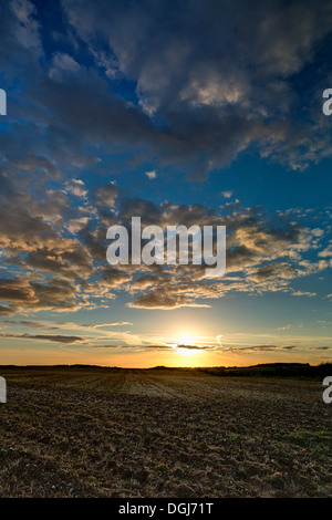 Sonnenuntergang über Feld in North Norfolk kultiviert. Stockfoto